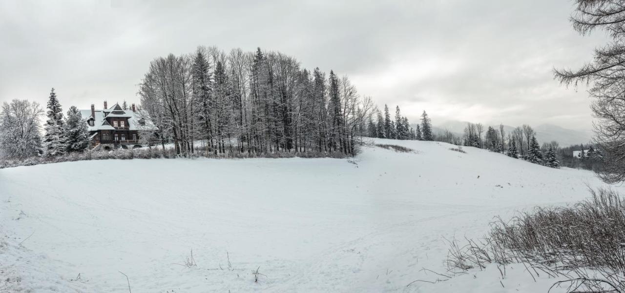 Zakoznami- Willa Wywczas Zakopane Extérieur photo
